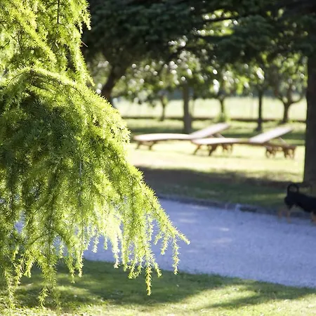 Abbadia 14 3* 奥西莫