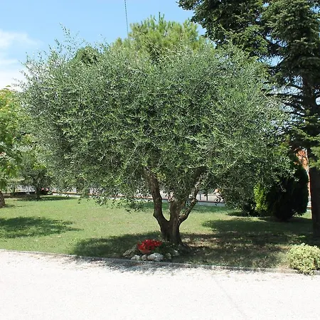 فندق مبيت وإفطار Abbadia 14