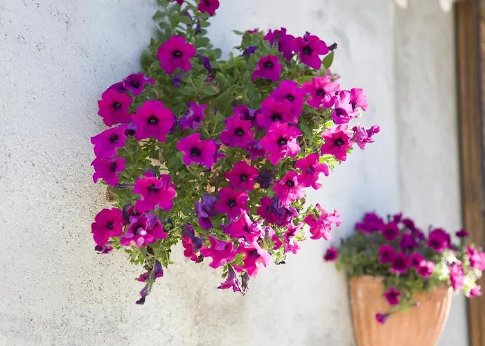 Bed & Breakfast Abbadia 14 Osimo